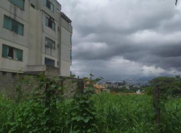 78023_iU1xM46oK2_7802367782c2f1df8f.jpg · Terreno para aluguel - em Cabral