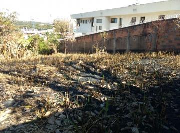 67572_i1jgM84L1iz8O_67572667c5f4ea878b.jpg · Terreno à venda - em São Luiz