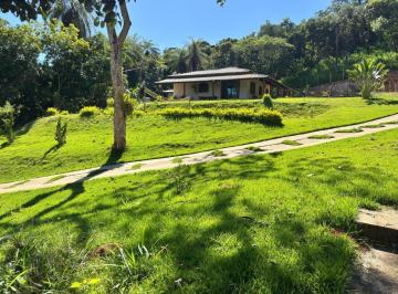 78794_iY5Jzue7232oV98jH_78794681a4af75f8da.jpg · Rurais à venda - em Caiapós