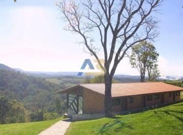 Rural de 7 quartos, Campo Largo · Chácara à venda em Campo Largo