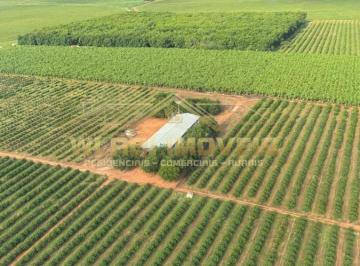 202408272017034301.jpeg · Fazenda para Venda em Manga, rural