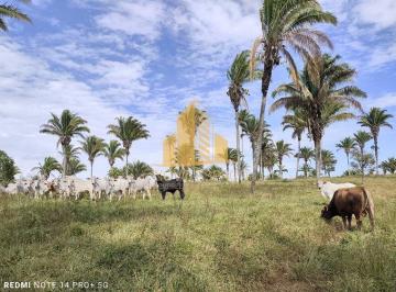 Rural · 6820000m² · Rurais à venda - no Centro
