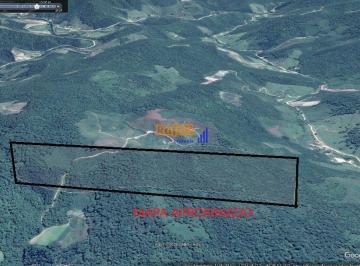 y5g0tyu2odm3njk1ytrlzja4_md · Terreno com 20 hectares em Angelina todo em Natureza