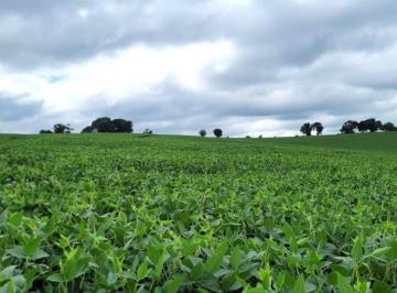 44d64ce65b72e9e05b57f77354d5d0a5.jpeg · Fazenda / Sítios / Chácaras à venda em Turvolândia, no bairro Zona Rural 1