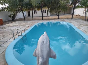 Casa de 2 quartos, Nísia Floresta · Chácara em Pium casa 2 quartos - 800 m2 - Parnamirim - RN