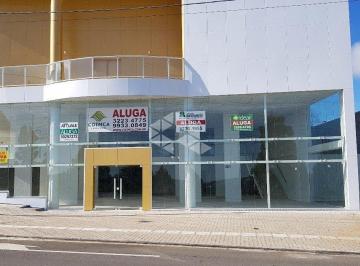 WhatsApp Image 2024-11-28 at 14.21 · Loja Comercial Exclusiva em Localização Estratégica - Caxias do Sul