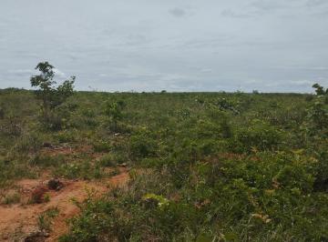 Rural , João Pinheiro · A&M IMOVEIS VENDE EXELENTE FAZENDA COM 329Hhectares em JOAO PINHEIRO