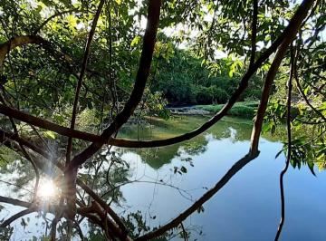 Rural , Alto Paraíso de Goiás · TERRENO BEIRA RIO SÃO MIGUEL, CHAPADA DOS VEADEIROS