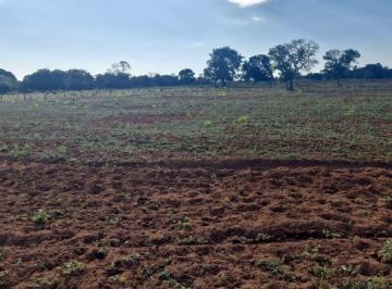 Rural · 4440000m² · 4 Quartos · 2 Vagas · Fazenda de 550 Hectares em Campo Grande MS –...