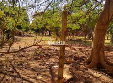 Rural · 1000m² · Chácara disponível para venda no bairro Morada dos Pássaros em Uberlândia-MG