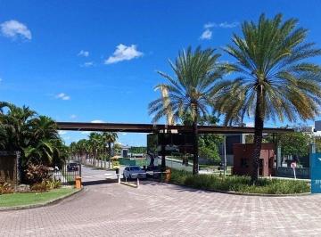 Terreno · 303m² · Lote Pronto Para Construir em Condomínio Fechado de Alto Padrão - Reserva Terra Brasilis localizado 