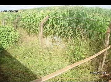 678184_ig8e6t_67818467924f0baf478.jpg · EXCELEURAL ENTRE CRUZ DAS POSSES E SERTAOZINHO - SPNTE AREA R