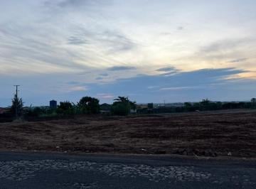 Rural · ?CHÁCARA COM 5.000M2 NA ESTRADA CARANÁ EM MARIALVA?
