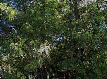 Terreno · ?? INVESTIMENTO DE ALTO POTENCIAL: TERRENO DE ESQUINA NA AVENIDA ALZIRO ZARUR ?