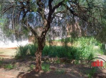 Terreno · ✨TERRENO INTEIRO NO JARDIM SUMARÉ EM MARINGÁ