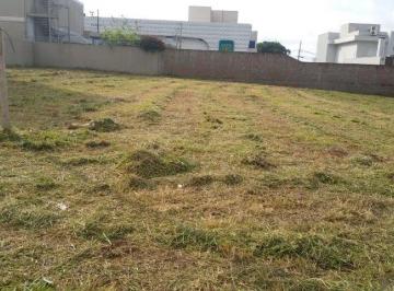 Terreno · ✨TERRENO INTEIRO NO JARDIM CIDADE MONÇÕES EM MARINGÁ