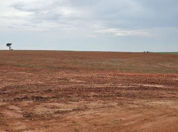 Rural · 129000000m² · FAZENDA À VENDA – GAÚCHA DO NORTE - MT
