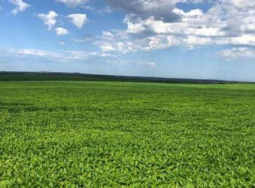Rural · 28300000m² · FAZENDA NA REGIÃO DE MORRO GRANDE-TO