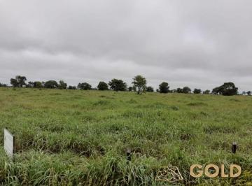 Rural · 23800000m² · FAZENDA NA REGIÃO DE ARAGUAÇU-TO!!!