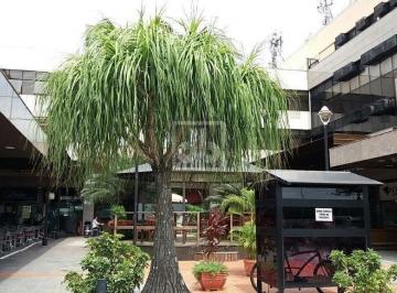 Comercial · 31m² · 1 Vaga · Barra da Tijuca - Barra Plaza - Sala comercial - com saleta - segurança total -