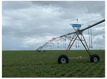 495dc3b390d19145b1289379b2cca824.jpg · Fazenda com 4.800 hectares, com 895 hectares plantando em sequeiro, 1.500 hectares em irrigação com