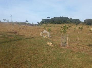 446956_i6vE2ync8q6160_44695665005390cc0b9.jpg · Terreno com 32.066,22m2 no bairro Juá em São Francisco de Paula, RS