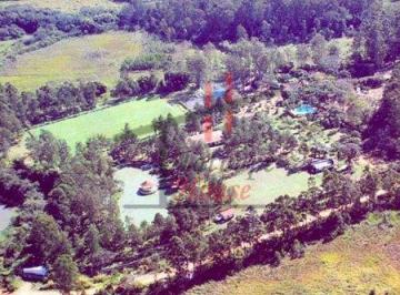 12950_i31D6Zy57_129506526d5d3d9a98.jpg · Sitio em Atibaia