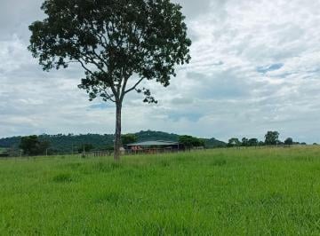 Rural de 3 quartos, Jussara · Fazenda à Venda em Jussara-GO 58 alq com excelente estrutura hídrica e pastagem
