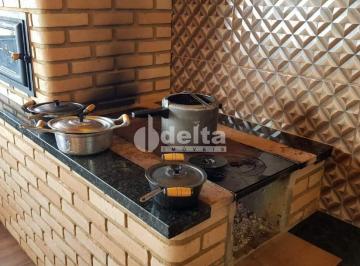 NULL · Chácara disponível para venda na Zona Rural de Uberlândia em Uberlândia-MG