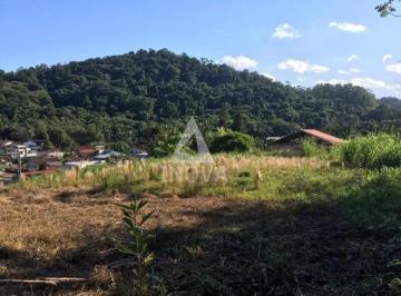 Terreno · 393m² · Terreno à venda no bairro Amizade - Guaramirim/SC