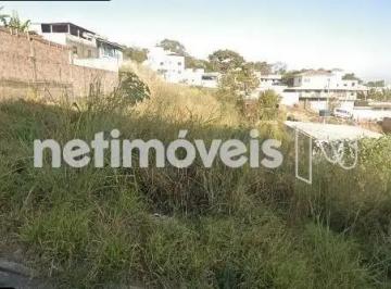 77401850-ae7a-46a1-b4ab-b25e2e1ac6d7.webp · Terreno à Venda, Masterville, Sarzedo