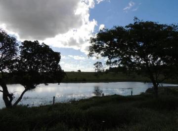 aiease_1748565726295.jpg · Fazenda / Sítio / Chácara, 4 dormitórios, 9829.64 m², em Águas Claras (Distrito)