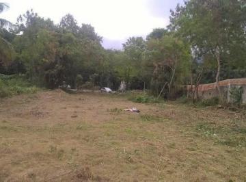 202412201256579906.jpg · Terreno para Venda em Rio de Janeiro, Vargem Grande