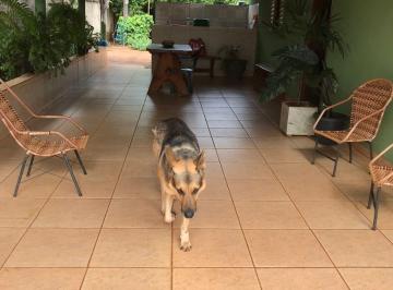 Casa de 3 quartos, Goianira · Vendo casa Goianira-Go