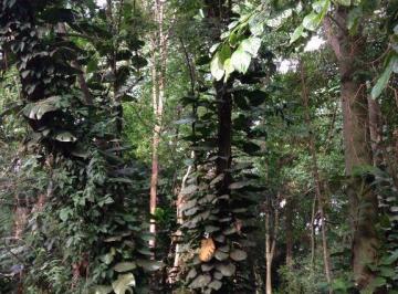 0 · terreno à venda em Jardim Santana