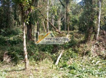 20240508145755907.jpg · Chácara para Venda em Itanhaém, Jardim Coronel