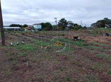 18c573be6884bac7377f71abed422d75cfdc3635 · Terreno à venda, 5000 m² por R$ 550.000,00 - Campo Grande - Campinas/SP