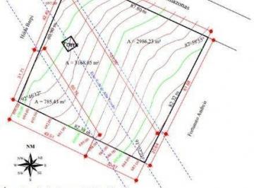 697227_i5hsHw976yp_69722768373f0337ec0.jpg · Terreno com 7.481,61m² no Bairro Diamantino em Caxias do Sul