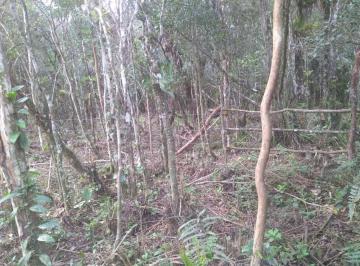 202503261451017203.jpg · Terreno para Venda em Itanhaém, Balneário Gaivota
