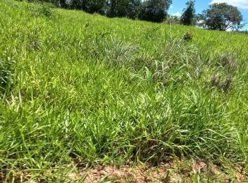 Rural de 3 quartos, Unaí · A&M IMOVEIS VENDE EXELENTE FAZENDA  COM 81.5HECTARESA 25KM DE UNAI