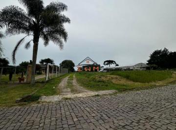 37297545_g.jpg · Imoveis - em Farroupilha