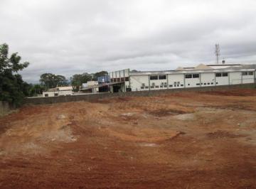 Comercial · 5000m² · Imóveis Comerciais Galpão Comercial em Ribeirão Preto