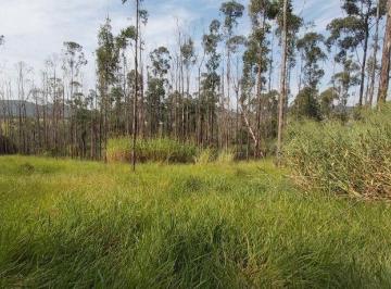 Rural · 32600m² · Sítio em Centro (Três Pontes), Amparo/SP de 0m² à venda por R$ 1.000.000,00