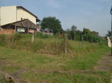 Foto 01 · Terreno, Jardim Leopoldina, Porto Alegre, RS