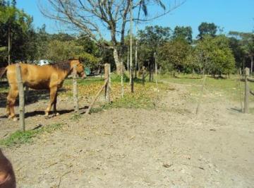 20230121101207967.jpg · Chácara para Venda em Itanhaém, Jardim Coronel, 1 dormitório, 1 banheiro
