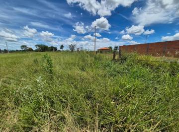 Terreno · 1000m² · Terrenos LoteTerreno em Santa Cruz da Esperança