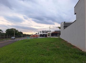 0 · terreno à venda em Caldeira