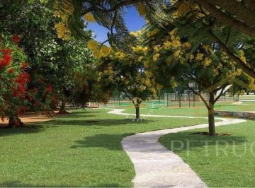 7cdbca2f4625ee6a47f7a7eb757bfdc1ef6769e2 · Terreno Residencial à venda, Parque Campo Bonito, Indaiatuba - TE0776.