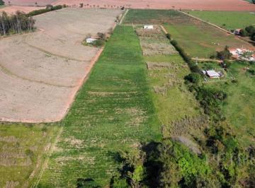 38667988a2e0c06760e6018da426a0c18e419f51 · Área à venda, 26815 m² - Área Rural de Artur Nogueira - Artur Nogueira/SP