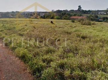db0b2f5117885543a3a698a7e9d5a9c2eb8c6242 · Terreno à venda, 332 m² por R$ 320.000,00 - Jardim dos Calegaris - Paulínia/SP